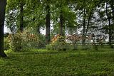 tannenfeld-sommer 2012-024